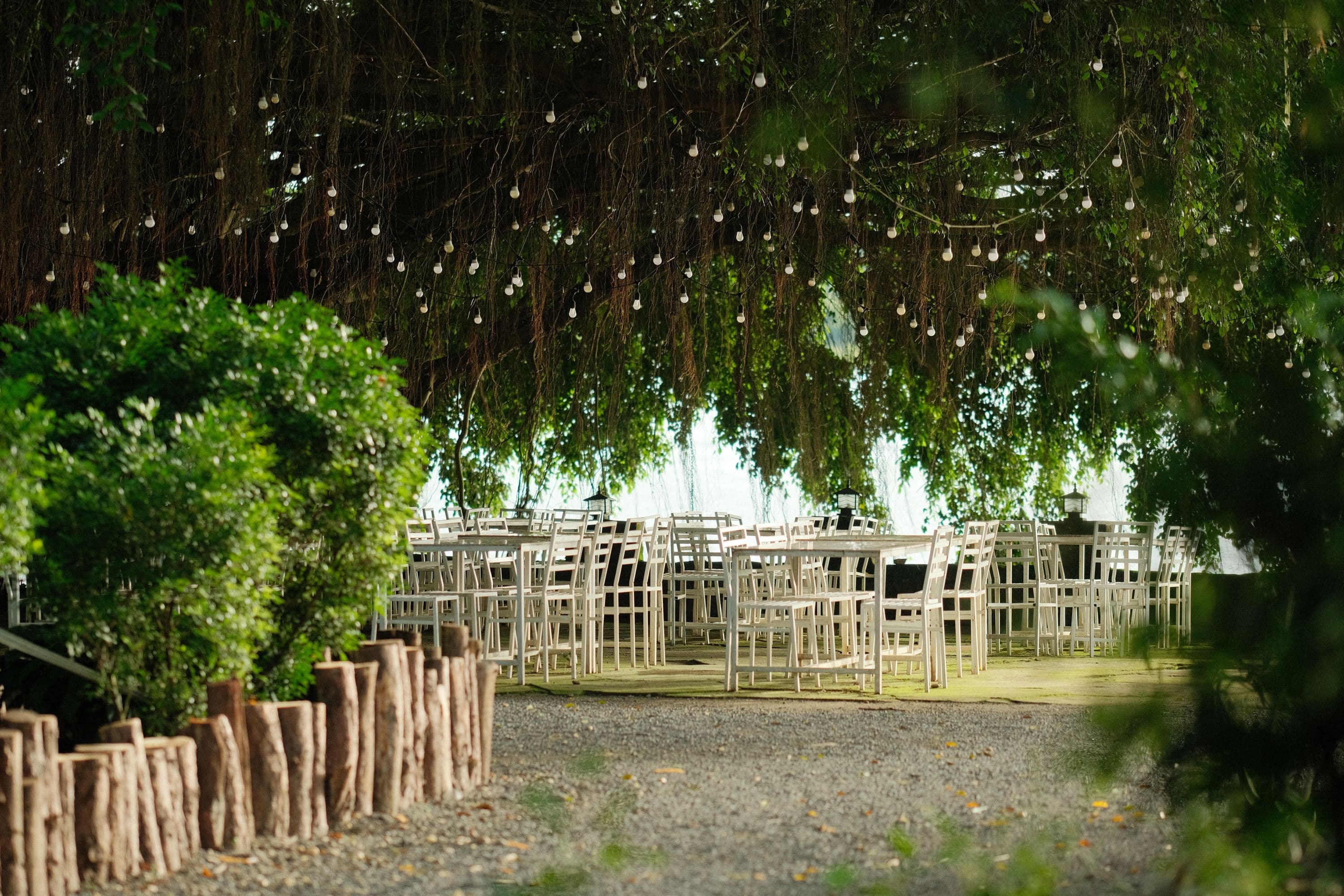 Cena en el jardín con luces de guirnalda